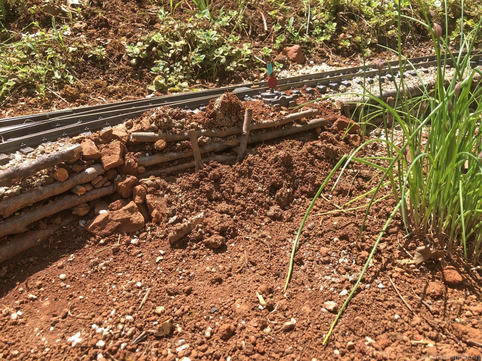 Mole damage to railroad